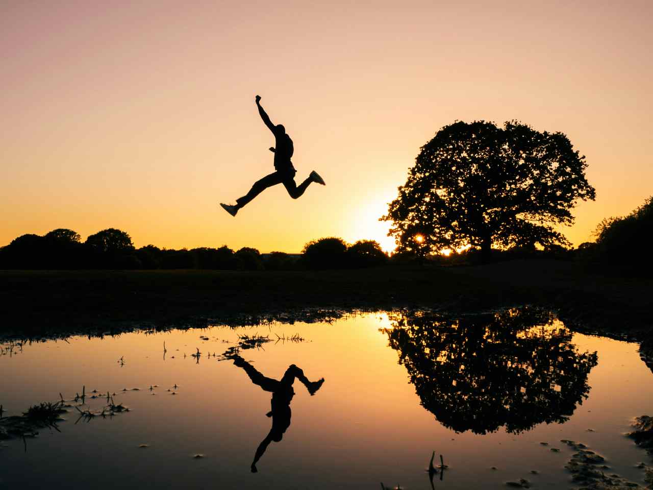 Meaning of Taking the Leap in English